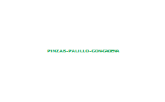 PINZAS PALILLO CON CADENA