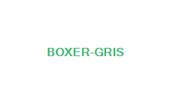 BOXER GRIS
