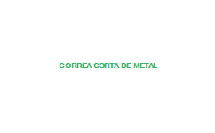 CORREA CORTA DE METAL