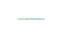 TANGA LUIZA THONG NEGRO L/XL