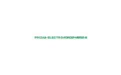 PINZAS ELECTRO FORCEP