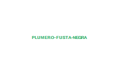 PLUMERO & FUSTA NEGRA