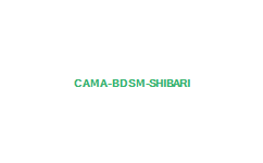 CAMA BDSM SHIBARI