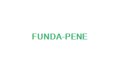 FUNDA PENE