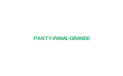 PANTY PANAL GRANDE
