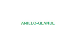 ANILLO GLANDE