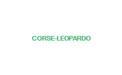 CORSE LEOPARDO TALLA M
