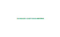 CANDADO CASTIDAD