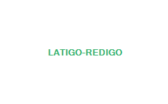 LÁTIGO RIGIDO 60 CM.